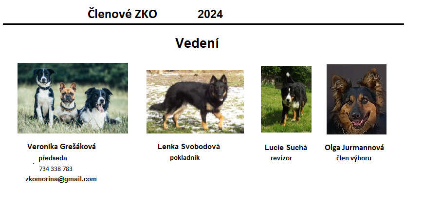 vedeni 9-4-2024-2